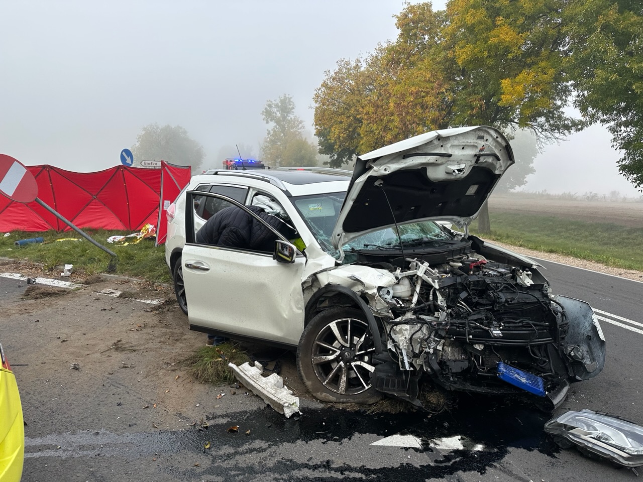 Na zdjęciu widać uszkodzone auto, biorące udział w wypadku. W tle pozostałe auta biorące udział w wypadku. Zdjęcie zrobiono na drodze wojewódzkiej nr 815.